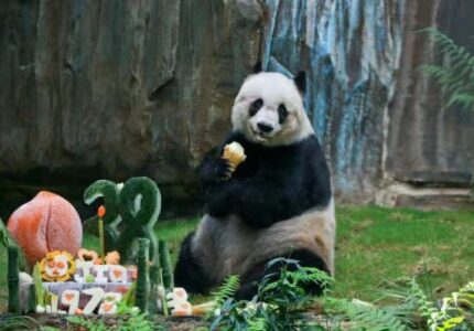 微信图片_20201221162129