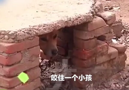 SharedScreenshot_副本